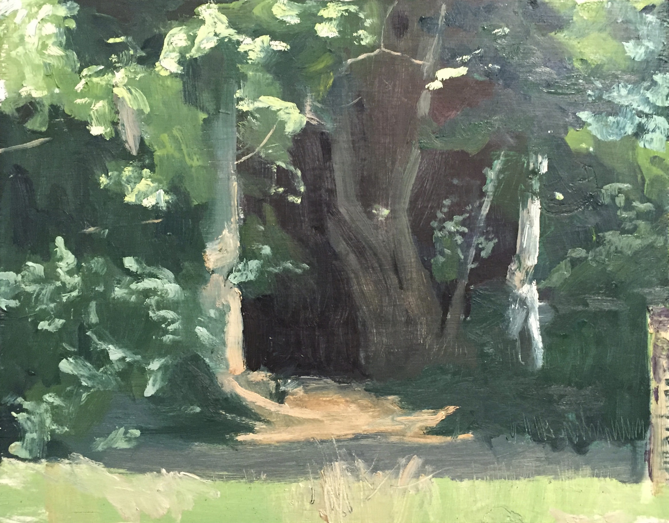 The copse at Thame Lodge | oil on panel | 40 x 30 thumbnail