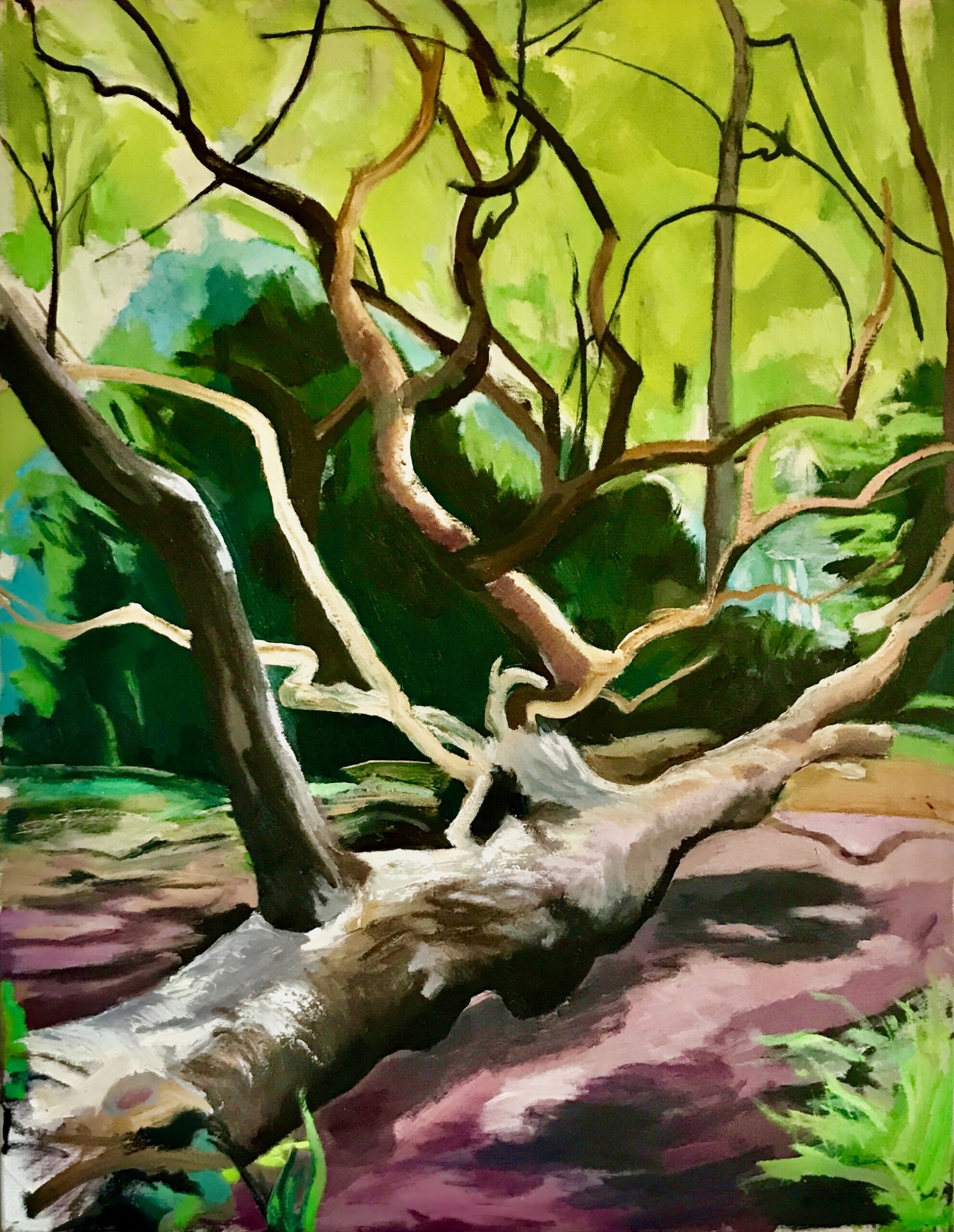 Fallen Tree | oil on canvas | 90 x 70 thumbnail