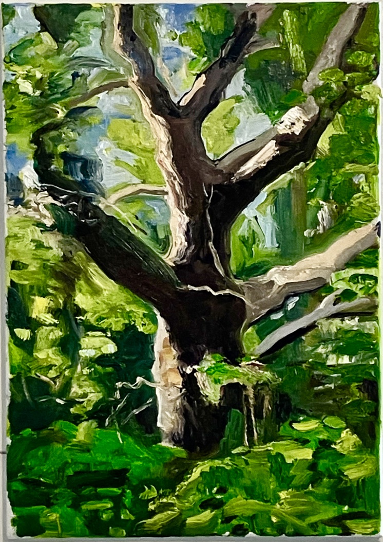 Big tree, small painting | 30 x 40 thumbnail