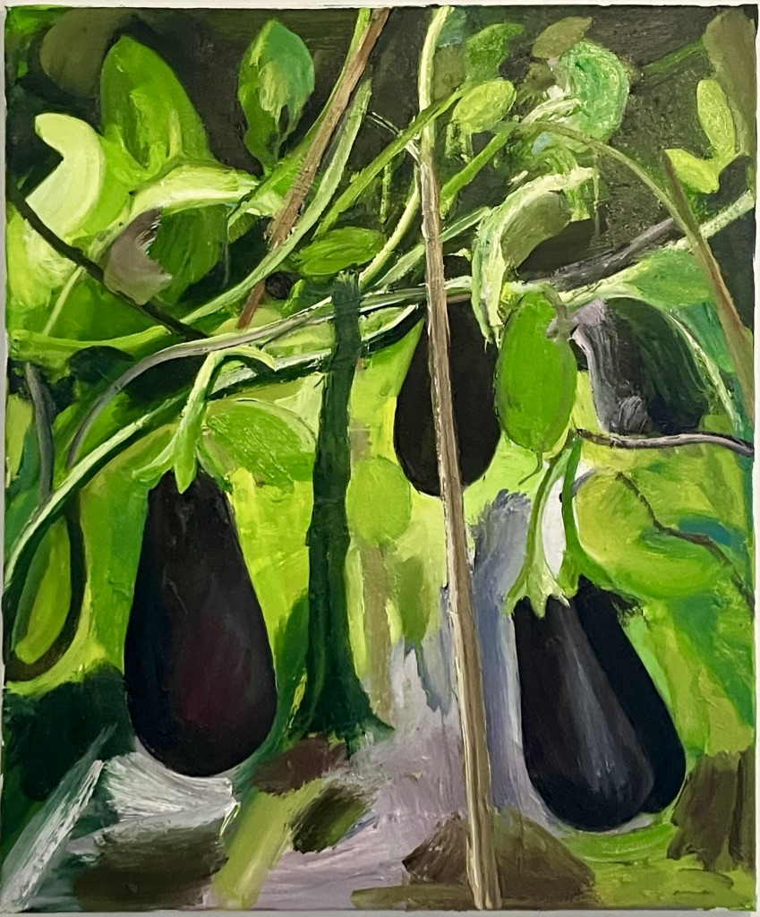 Aubergines 1 | 50 x 40 thumbnail