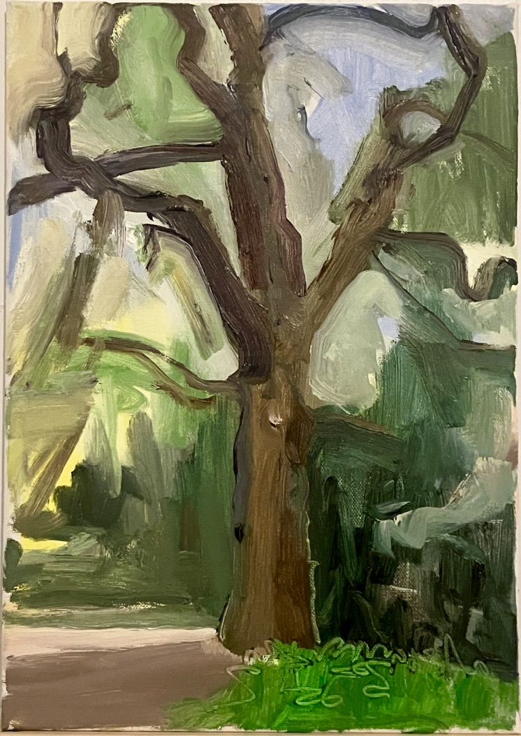 Tree, early morning / 40 x 30 thumbnail